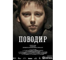 Поводырь (2013)