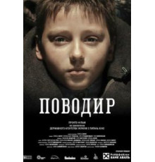 Поводырь (2013)