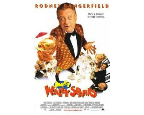 Познакомьтесь с Уолли Спарксом  (фильм 1996) смотреть онлайн