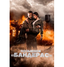 Позывной «Бандерас» (2018)