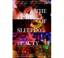 Предел спящей красавицы (2017)