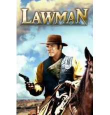 Представитель закона (1971)