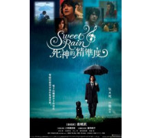 Прекрасный дождь (2008)