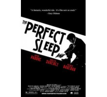 Прекрасный сон (2009)