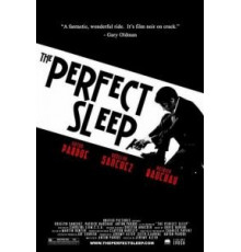 Прекрасный сон (2009)