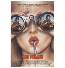 Преследование по пятам (1987)