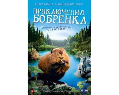 Приключения бобрёнка  (фильм 2007) смотреть онлайн