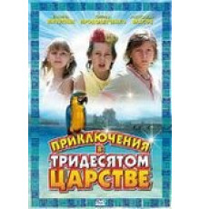 Приключения в Тридесятом царстве (2008)