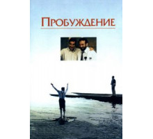 Пробуждение (1990)