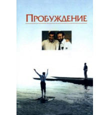 Пробуждение (1990)