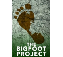 Проект «Снежный человек» (2017)