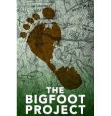 Проект «Снежный человек» (2017)