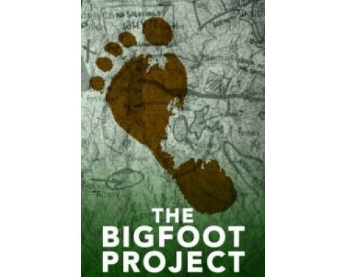 Проект «Снежный человек»  (фильм 2017) смотреть онлайн