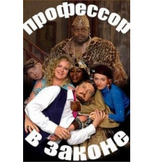 Профессор в законе (2006)