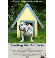 Прожорливый мистер Болдуин (2013)