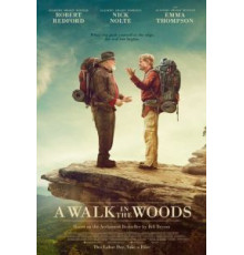 Прогулка по лесам (2015)