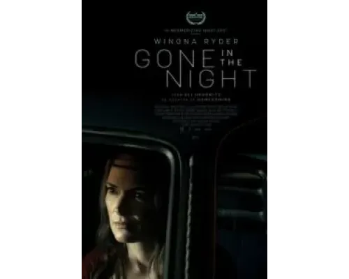 Пропавшие в ночи  (фильм 2022) смотреть онлайн