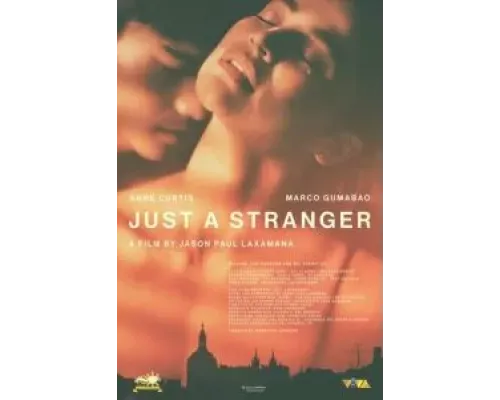 Просто незнакомец  (фильм 2019) смотреть онлайн