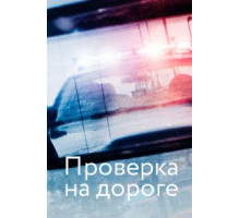 Проверка на дороге (2017)
