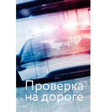 Проверка на дороге (2017)
