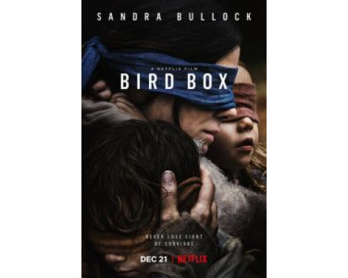 Птичий короб  (фильм 2018) смотреть онлайн