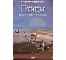 Птицы (2001)