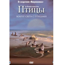 Птицы (2001)