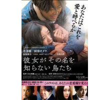 Птицы, которых она никогда не знала (2017)