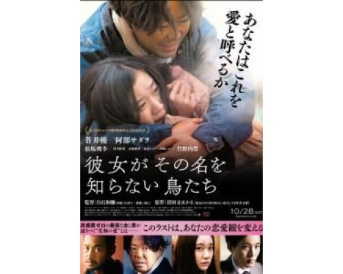 Птицы, которых она никогда не знала  (фильм 2017) смотреть онлайн