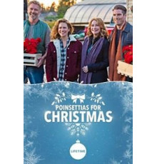 Пуансеттии на Рождество (2018)