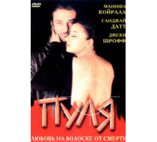 Пуля (1999)