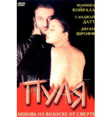 Пуля (1999)