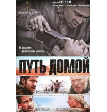 Путь домой (2010)