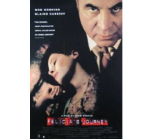 Путешествие Фелиции (1999)