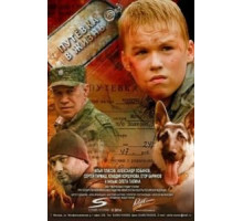 Путевка в жизнь (2013)