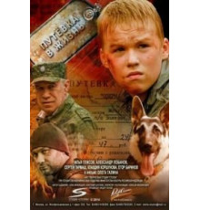 Путевка в жизнь (2013)