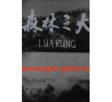 Пылающие джунгли (1965)