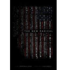 Радикалы XXI века (2017)