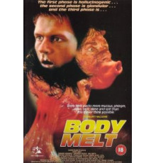 Расплавленное тело (1993)