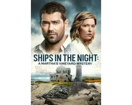 Расследования на Мартас-Винъярде: Корабли в ночи  (фильм 2021) смотреть онлайн