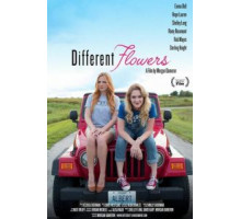 Разного поля ягоды (2017)