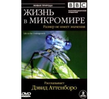 Разрушая границы: Научный взгляд на нашу планету (2021)