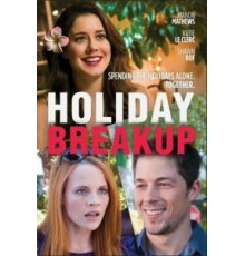 Разрыв на каникулах (2016)