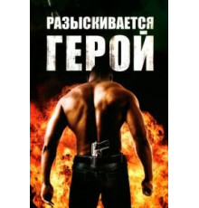 Разыскивается герой (2007)