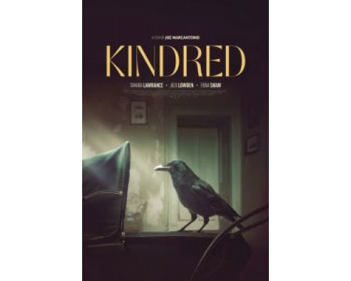 Родство  (фильм 2020) смотреть онлайн