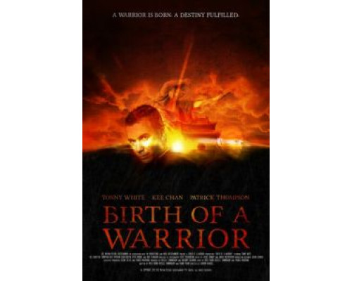 Рождение воина  (фильм 2012) смотреть онлайн