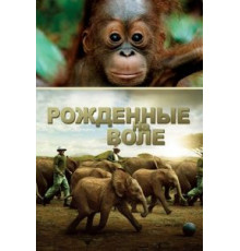 Рожденные на воле (2011)
