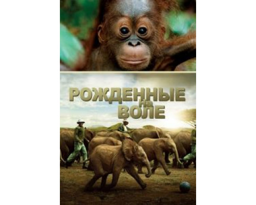 Рожденные на воле  (фильм 2011) смотреть онлайн