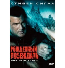 Рожденный побеждать (2010)