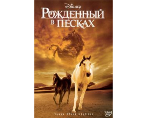 Рожденный в песках  (фильм 2003) смотреть онлайн